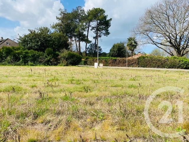 terrain à vendre - 533.0 m2 - BENESSE MAREMNE - 40 - AQUITAINE - Century 21 Berritzea