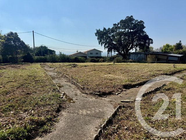 terrain à vendre - 1325.0 m2 - BIDART - 64 - AQUITAINE - Century 21 Berritzea