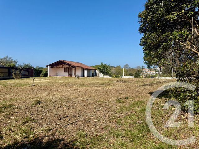 terrain à vendre - 1325.0 m2 - BIDART - 64 - AQUITAINE - Century 21 Berritzea