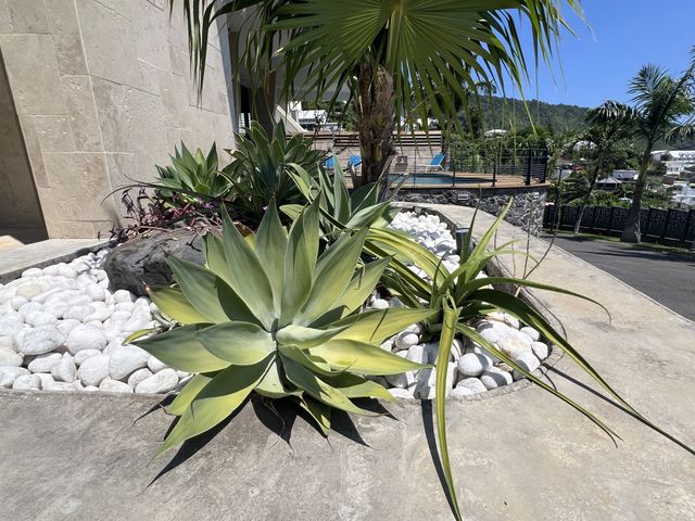 maison à vendre - 7 pièces - 351.2 m2 - ST DENIS - 974 - REUNION - Century 21 Berritzea